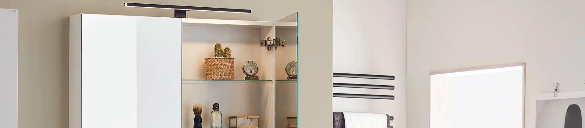 Mirror Cabinets
