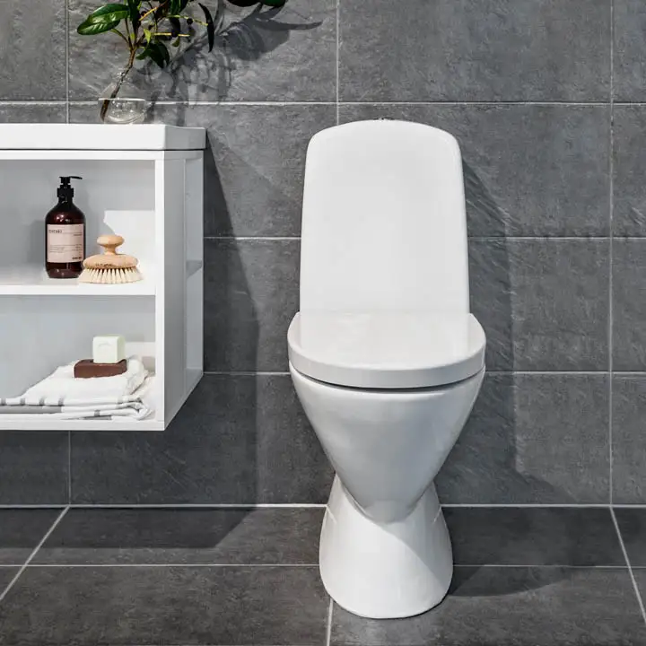 Noro Well No Rim toilet